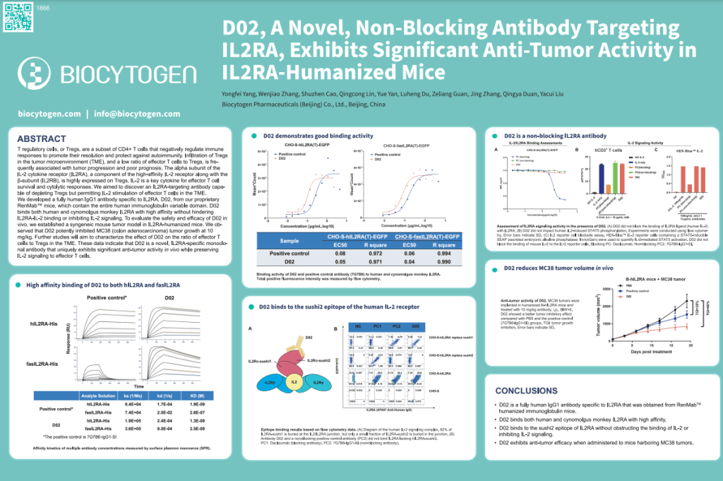 AACR 2023: D02, A Novel, Non-Blocking Antibody Targeting IL2RA, Exhibits Significant Anti-Tumor Activity in IL2RA-Humanized Mice
