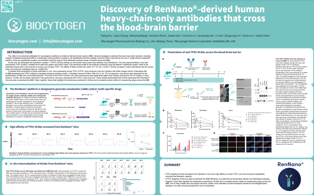 AACR 2023: Discovery of RenNano®-Derived Human Heavy-Chain-Only Antibodies That Cross the Blood-Brain-Barrier