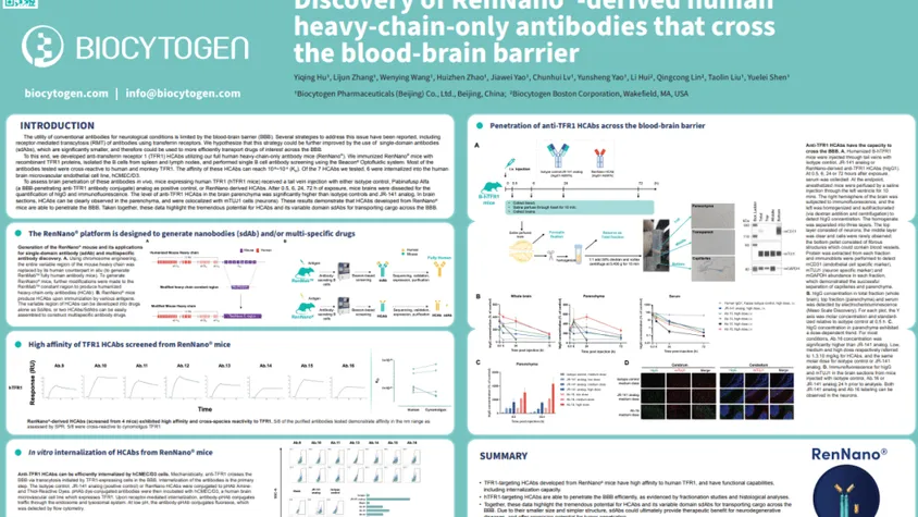 AACR 2023: Discovery of RenNano®-Derived Human Heavy-Chain-Only Antibodies That Cross the Blood-Brain-Barrier