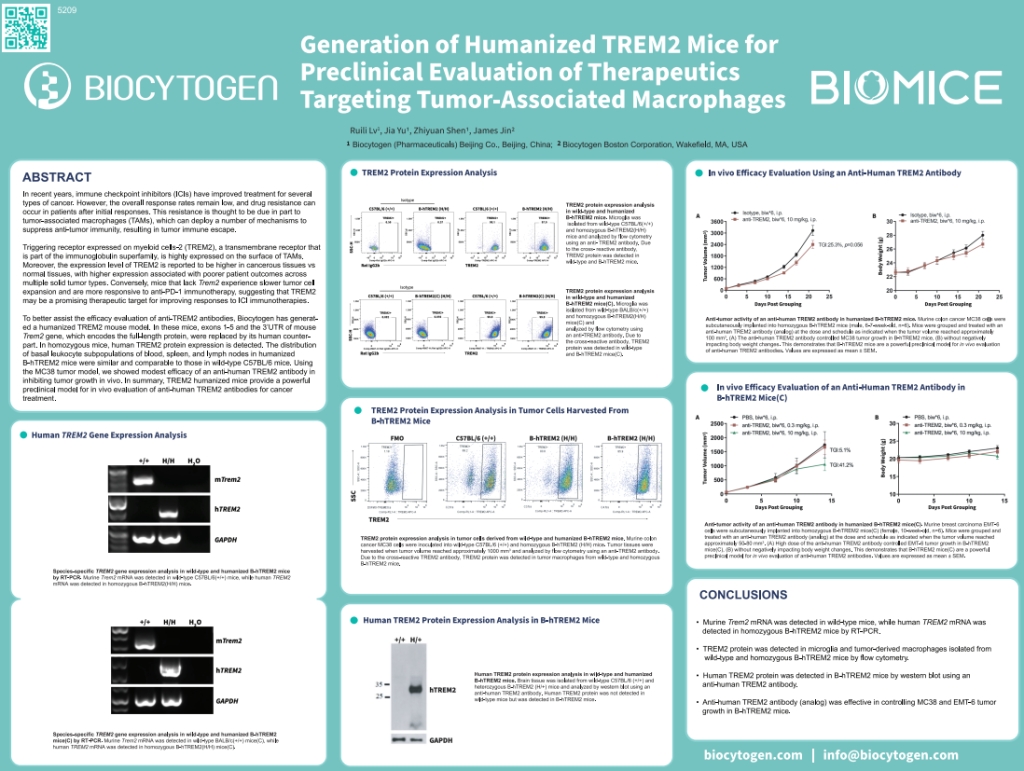 AACR 2023: Generation of Humanized TREM2 Mice for Preclinical Evaluation of Therapeutics Targeting Tumor-Associated Macrophages