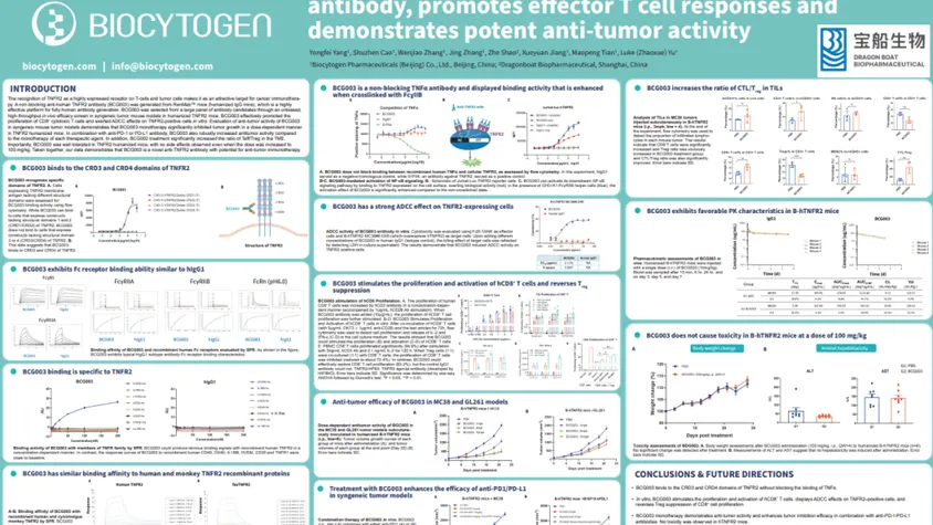 AACR 2023: 1C3, A Novel Non-Blocking Anti-Human TNFR2 Antibody, Promotes Effector T Cell Responses and Demonstrates Potent Anti-Tumor Activity
