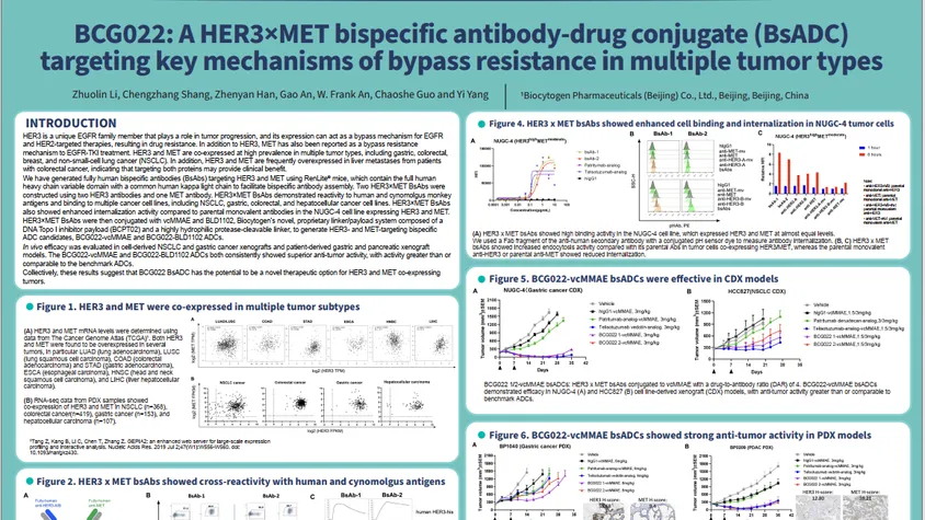 SITC 2023: BCG022: A HER3×MET Bispecific Antibody-drug Conjugate (BsADC) Targeting Key Mechanisms of Bypass Resistance in Multiple Tumor Types