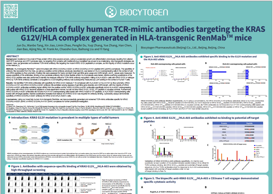 SITC 2023: Identification of fully human TCR-mimic antibodies targeting the KRAS G12V/HLA complex generated in HLA-transgenic RenMab mice