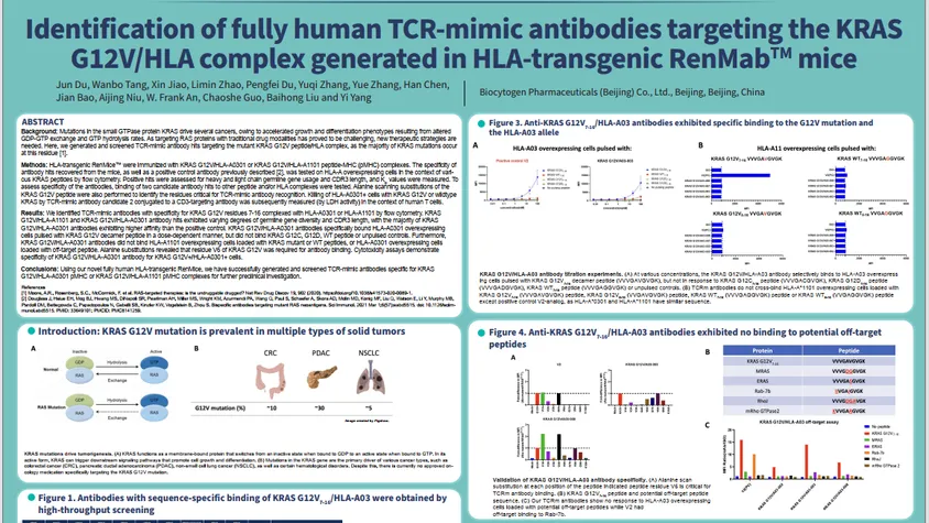 SITC 2023: Identification of fully human TCR-mimic antibodies targeting the KRAS G12V/HLA complex generated in HLA-transgenic RenMab mice