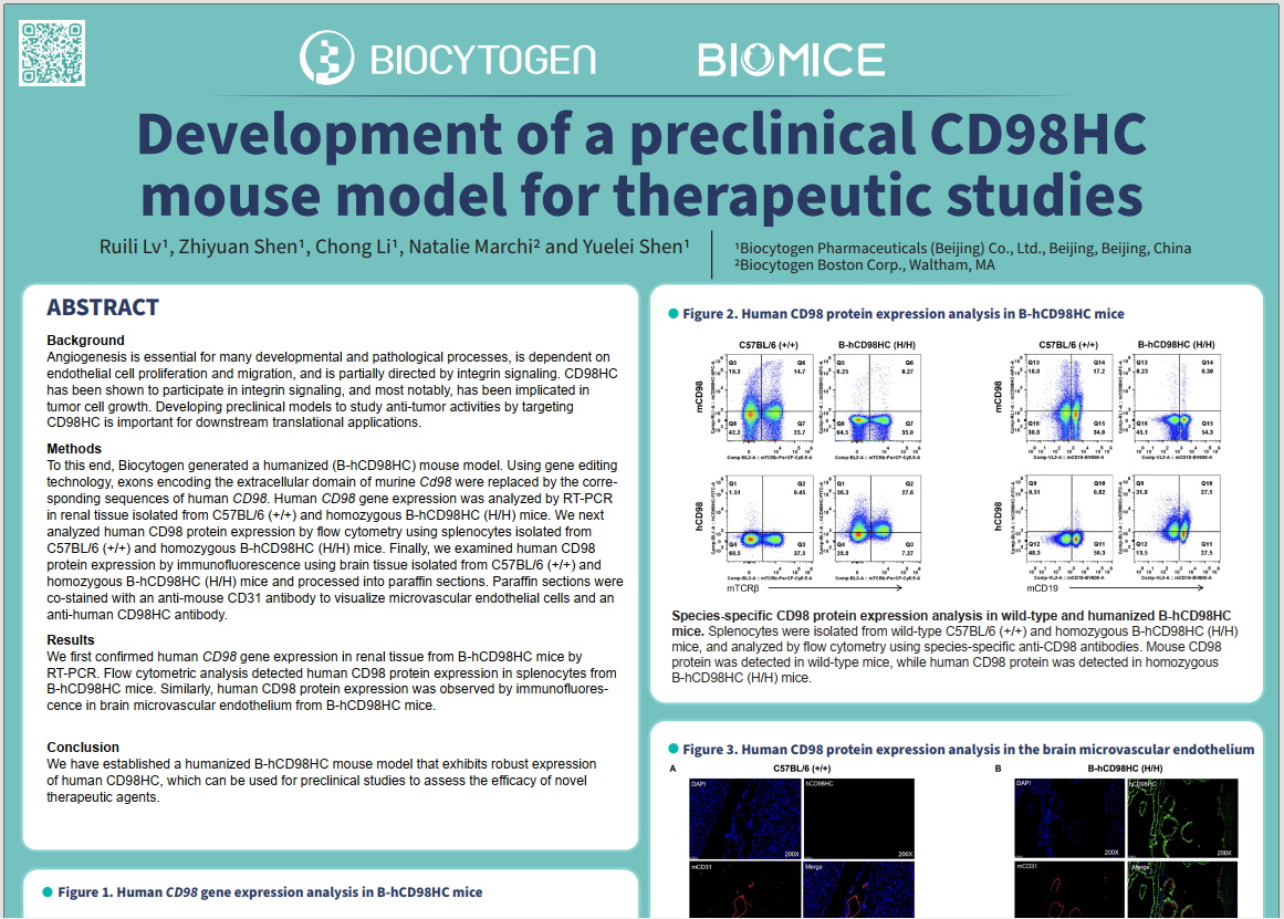 SITC 2023: Development of a Preclinical CD98HC Mouse Model for Therapeutic Studies