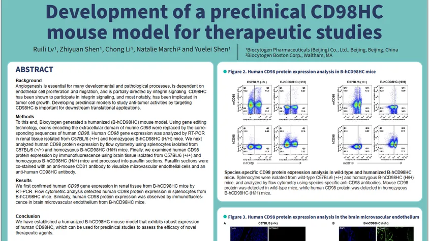 SITC 2023: Development of a Preclinical CD98HC Mouse Model for Therapeutic Studies