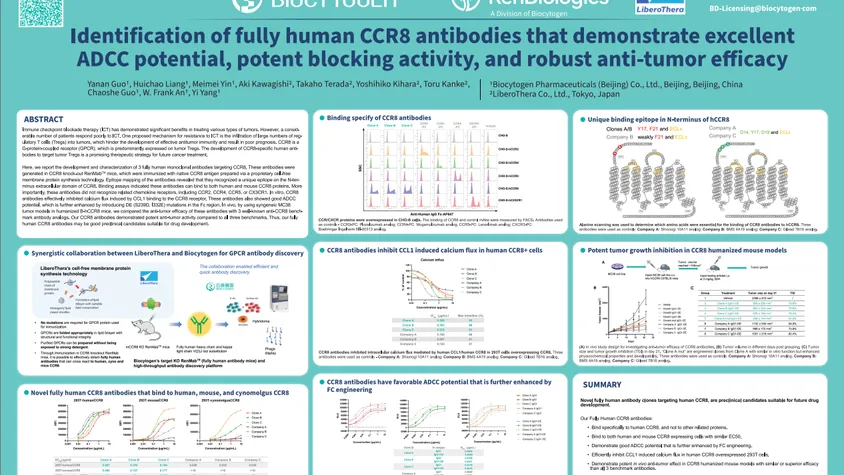 AACR 2024: Identification of fully human CCR8 antibodies that demonstrate excellent ADCC function, potent blocking activity, and robust anti-tumor immune responses