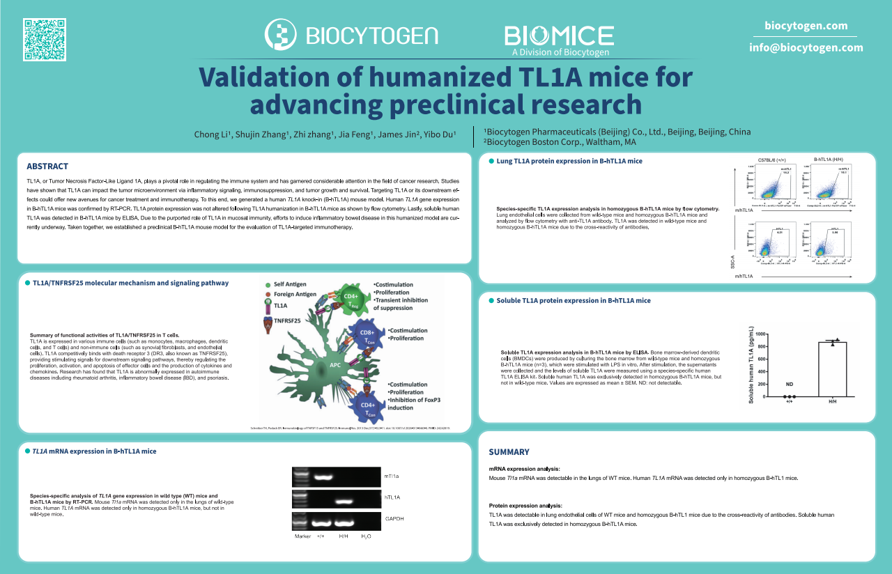 AACR 2024: Validation of humanized TL1A mice for advancing preclinical research