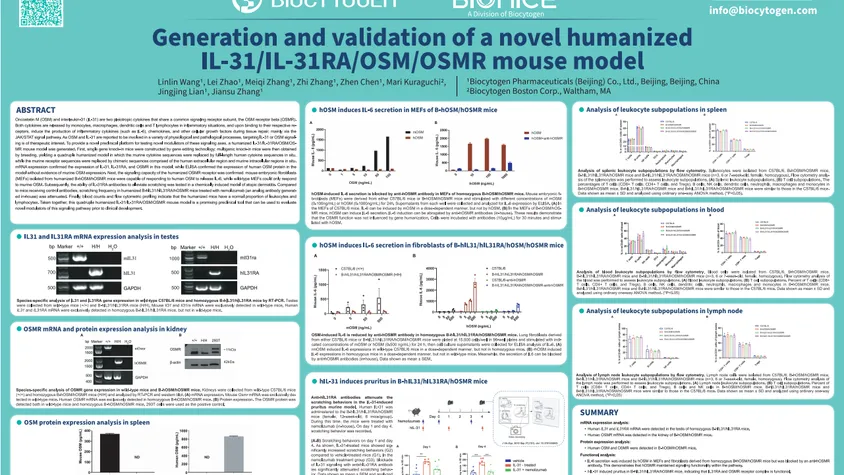 AACR 2024: Generation and validation of a novel humanized IL-31/IL-31RA/OSM/OSMR mouse model