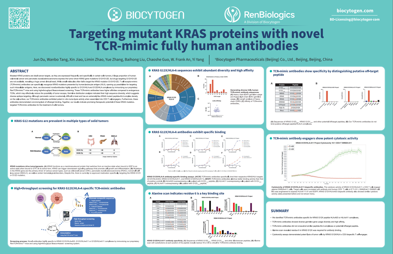 AACR 2024: Targeting mutant KRAS proteins with novel TCR-mimic fully human antibodies