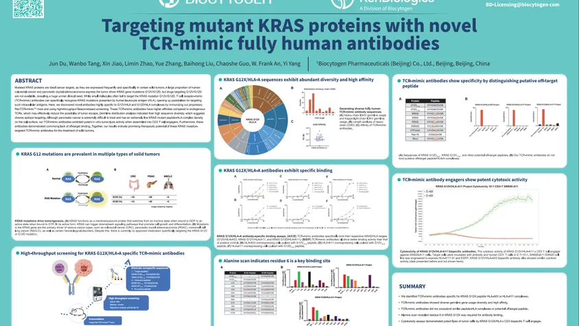 AACR 2024: Targeting mutant KRAS proteins with novel TCR-mimic fully human antibodies