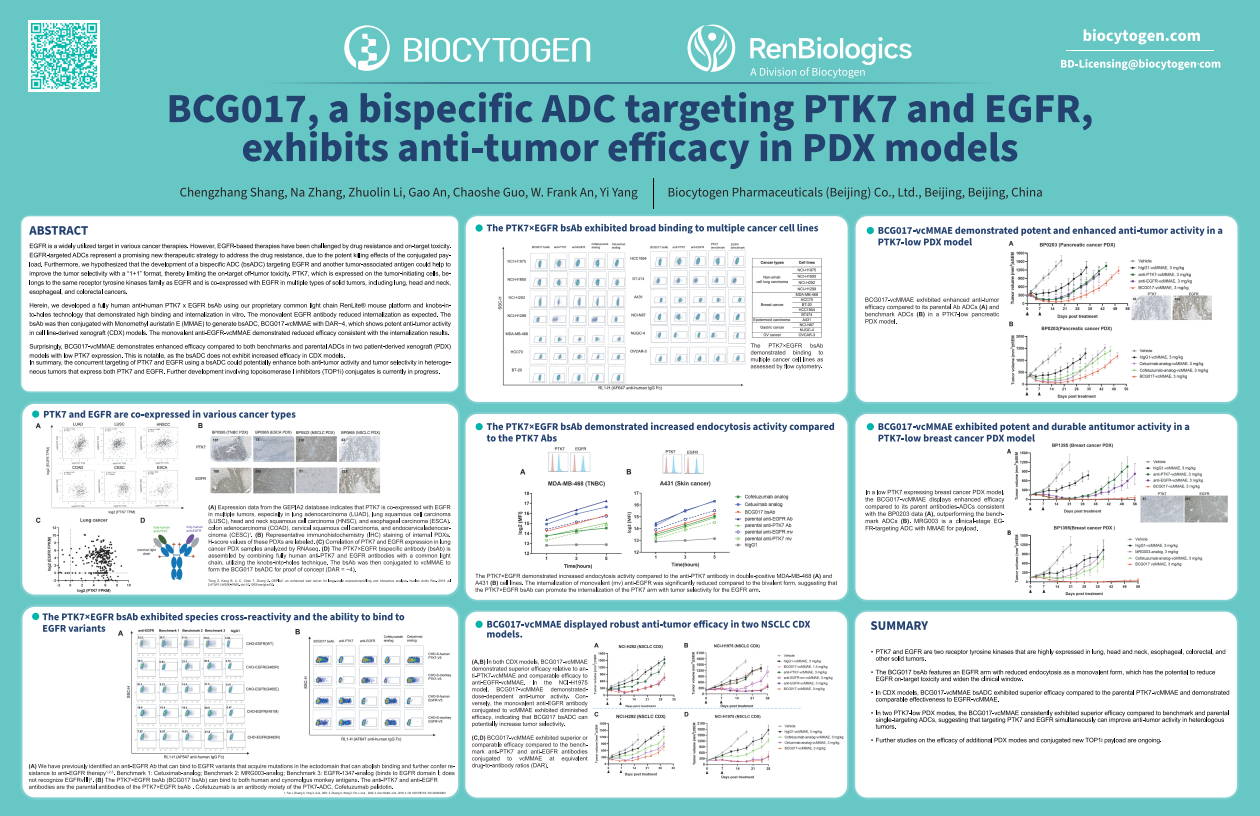 AACR 2024: BCG017, a bispecific ADC targeting PTK7 and EGFR exhibits anti-tumor efficacy in PDX models