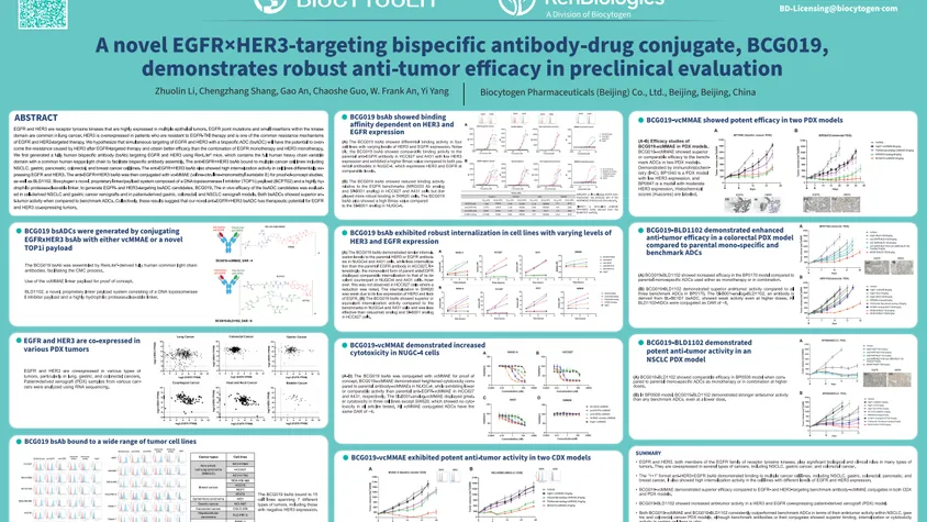 AACR 2024: A novel EGFR×HER3-targeting bispecific antibody drug-conjugate, BCG019, demonstrates robust anti-tumor efficacy in preclinical evaluation