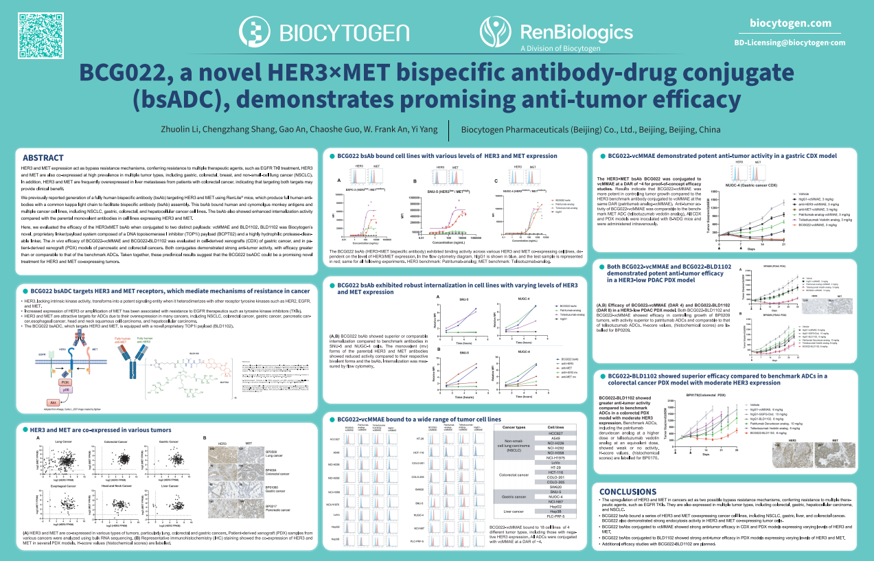 AACR 2024: BCG022, a novel HER3×MET bispecific antibody-drug conjugate (bsADC), demonstrates promising anti-tumor efficacy