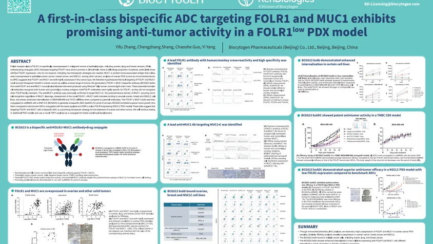 AACR 2024: A first-in-class bispecific ADC targeting FOLR1 and MUC1 exhibits promising anti-tumor activity in a FOLR1low xenograft model