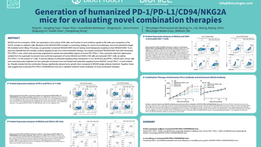 AACR 2024: Generation of humanized PD-1/PD-L1/CD94/NKG2A mice for evaluating novel combination therapies