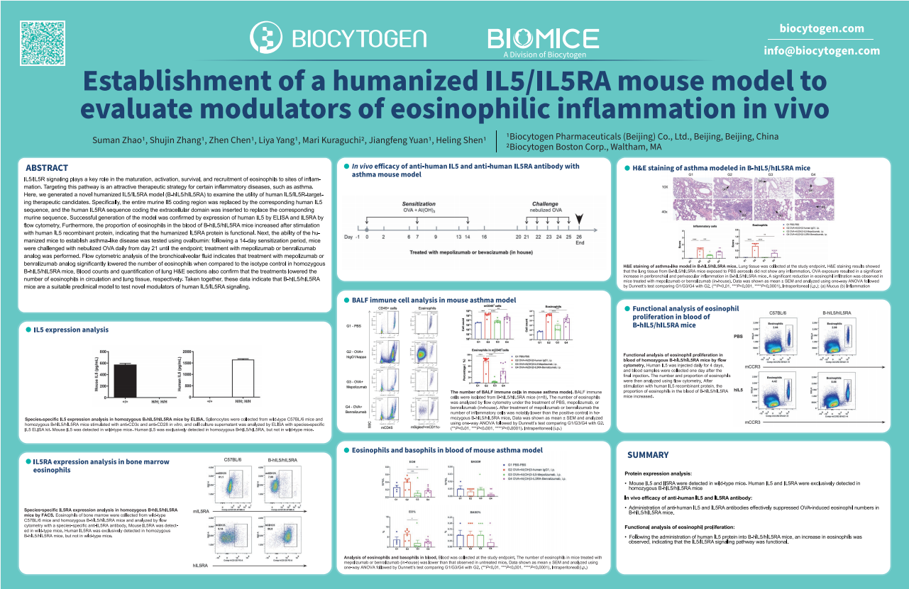 AACR 2024: Establishment of a humanized IL5/IL5RA mouse model to evaluate modulators of eosinophilic inflammation in vivo