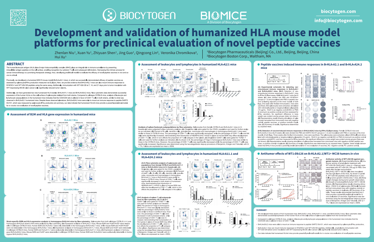 AACR 2024: Development and validation of humanized HLA mouse model platforms for preclinical evaluation of novel peptide vaccines