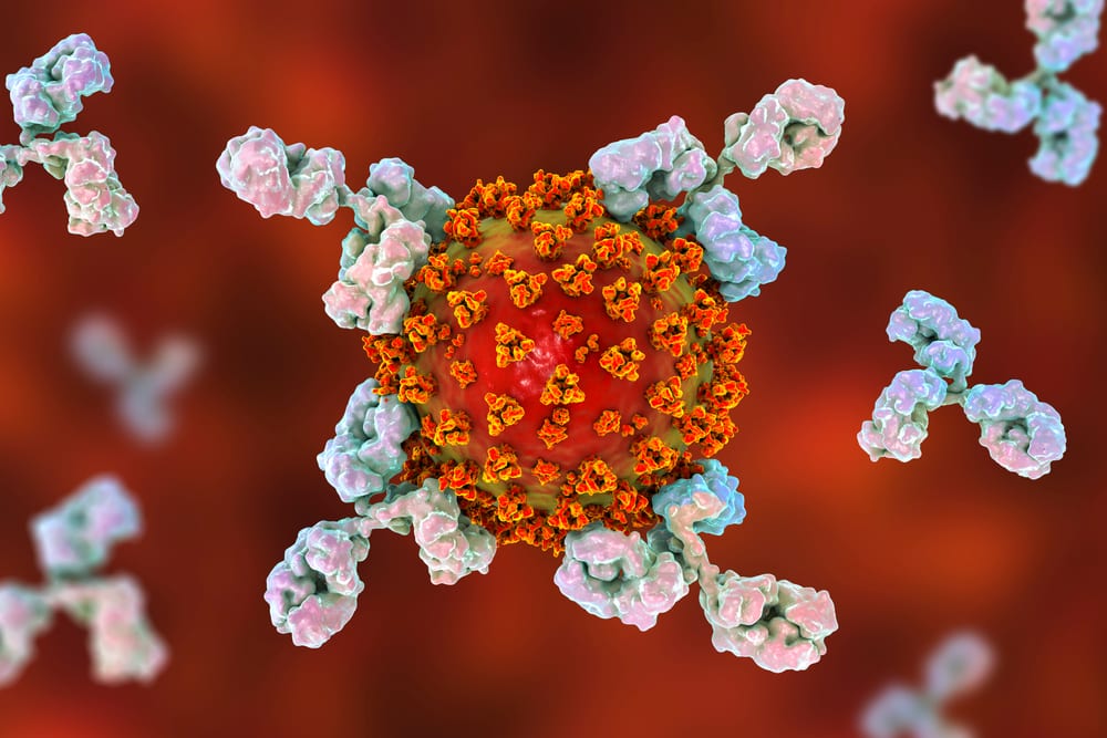 RenMab&trade; Mouse Platform Drives SARS CoV-2 Neutralizing Antibody Cocktail Therapy Towards Clinical Trials in Biocytogen and Eucure Biopharma Partnership