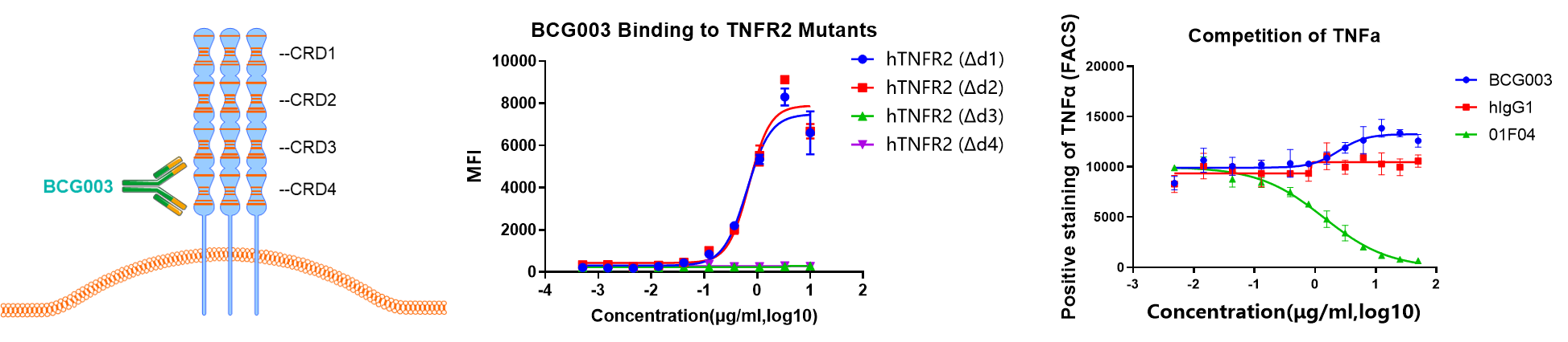 TNFR2 epitope schematic, binding validation, and competition data showing that BCG003 binds the CRD3 and CRD4 domains without blocking TNF&alpha;.