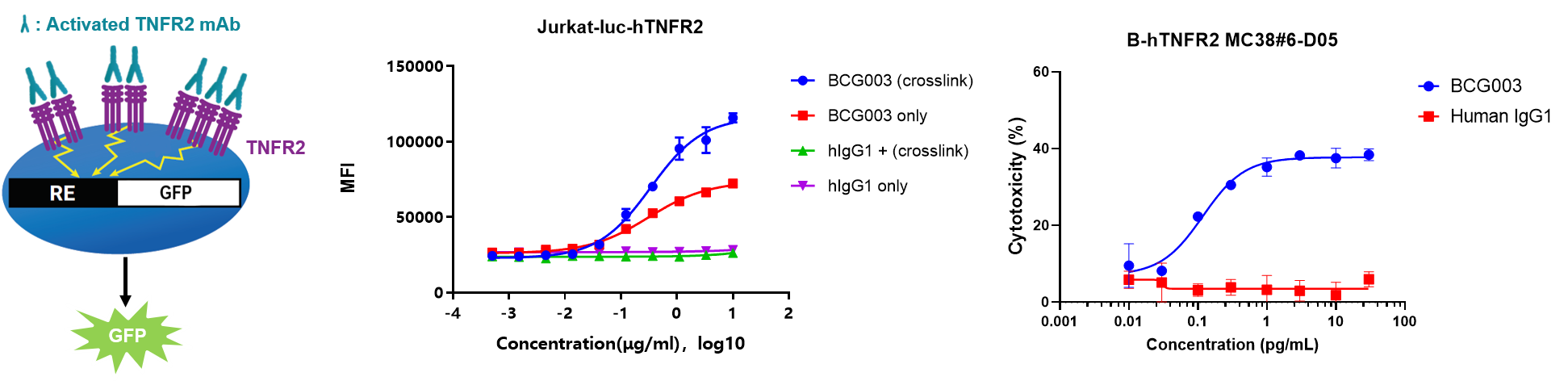 Mechanism schematic, Fc&gamma;RIIB crosslinking assay, and ADCC data showing TNFR2 activation and Fc-mediated cytotoxic activity of BCG003.