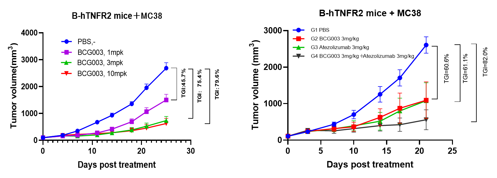 Tumor growth curves showing dose-responsive antitumor activity of BCG003 monotherapy and enhanced efficacy in combination with PD-L1 blockade.