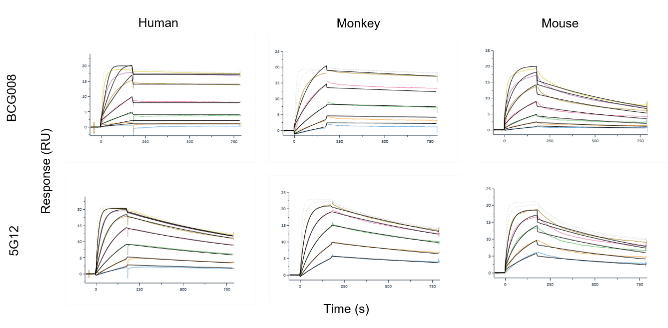 SPR sensorgrams showing BCG008 binding to human, cynomolgus monkey, and mouse SIGLEC-15 with affinities at the 10⁻⁹ M level.