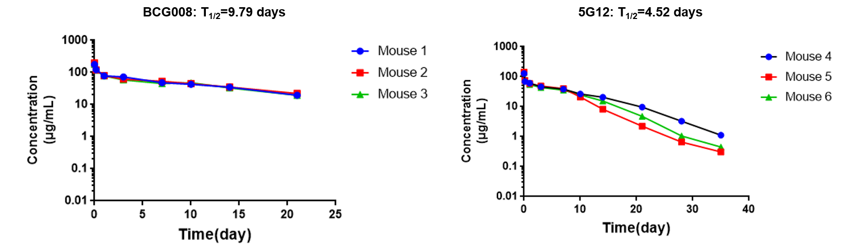 Pharmacokinetic curves showing a longer terminal half-life for BCG008 than the benchmark antibody 5G12 in SIGLEC-15 humanized mice.