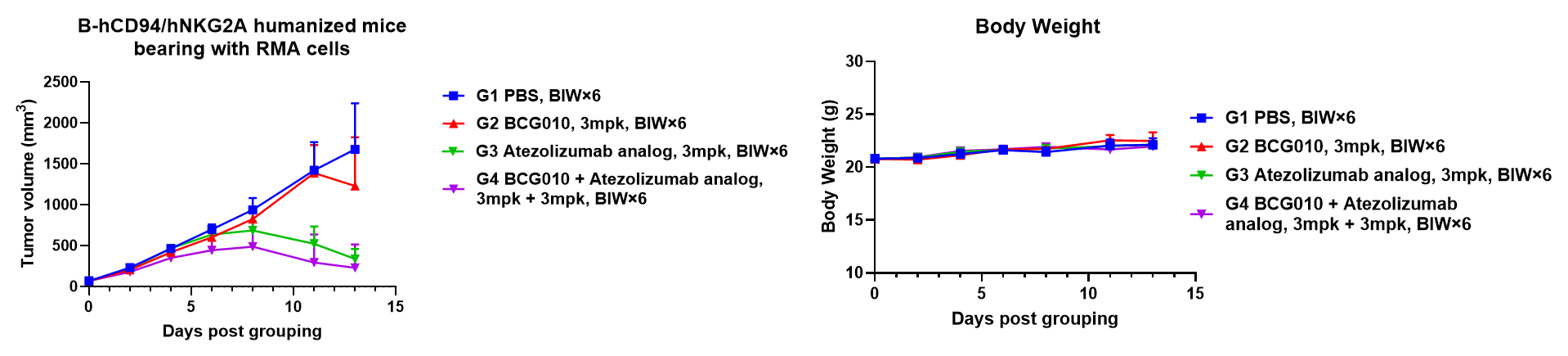 Tumor volume and body weight curves showing BCG010 combined with Atezolizumab analog inhibiting RMA tumor growth in B-hCD94/hNKG2A humanized mice without body weight loss.