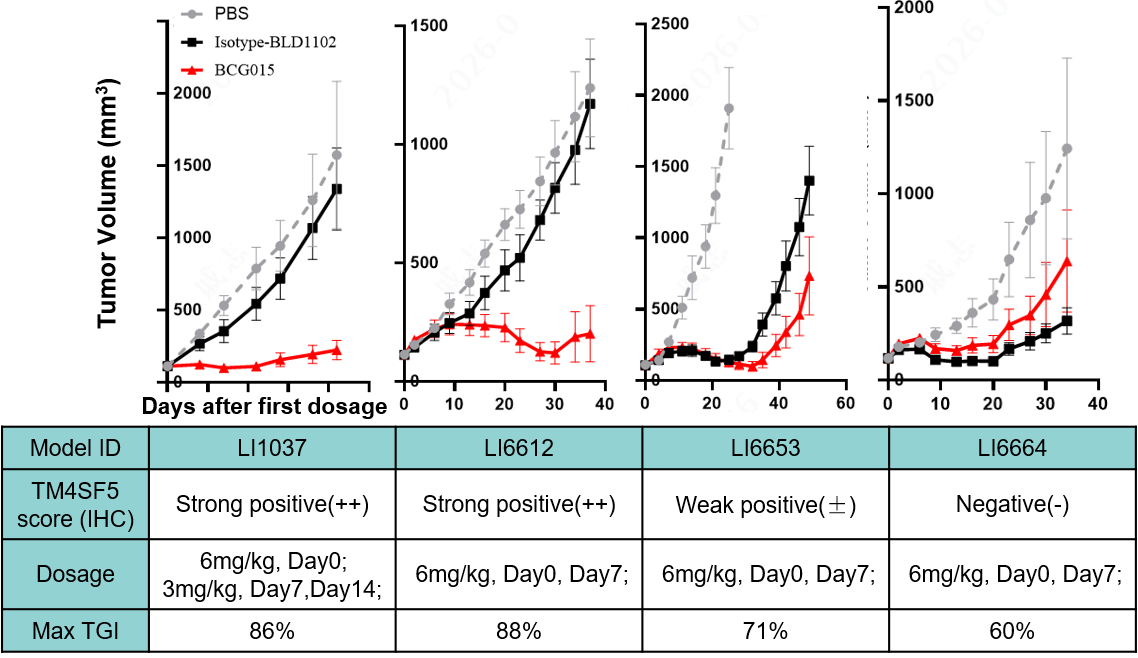 Representative HCC PDX tumor growth curves and TM4SF5 IHC summary showing translational efficacy of BCG015 in HCC PDX models.