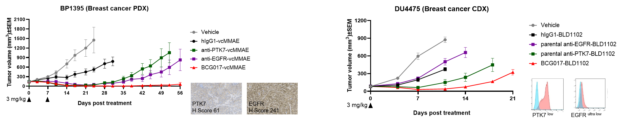 Tumor growth curves showing synergistic antitumor efficacy of PTK7 &times; EGFR bispecific ADCs versus parental monoclonal ADCs in BP1395 breast cancer PDX and DU4475 breast cancer CDX models.