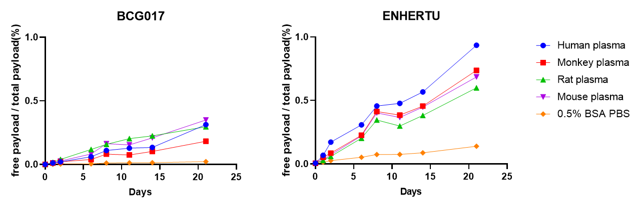 Line graphs showing free payload percentage over total payload for BCG017 and Enhertu after plasma incubation in human, monkey, rat, and mouse plasma, with BCG017 showing less than 0.5% free BCPT02.