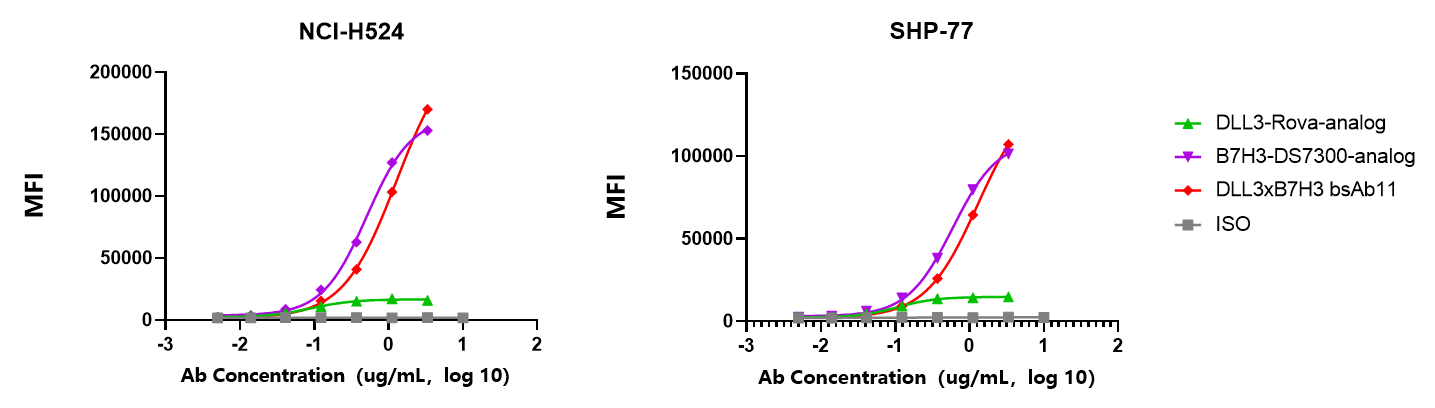 Binding curves showing BCG025 activity in NCI-H524 and SHP-77 small cell lung cancer cells compared with DLL3- and B7-H3-directed benchmark analogs and monovalent antibodies.