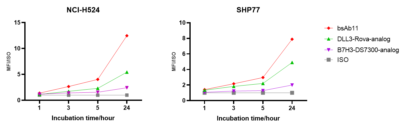 Internalization curves showing BCG025 uptake in NCI-H524 and SHP-77 small cell lung cancer cells compared with DLL3- and B7-H3-directed benchmark analogs.