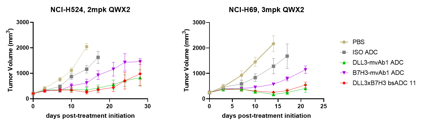 Tumor growth curves comparing BCG025 with monovalent antibody ADC controls in NCI-H524 and NCI-H69 DLL3/B7-H3 dual-positive SCLC CDX models.