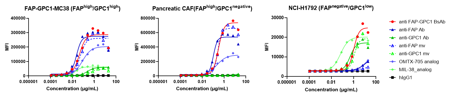 Binding curves showing that the FAP &times; GPC1 bispecific antibody retains antigen binding activity comparable to parental antibodies across FAP-GPC1-MC38 cells, pancreatic CAFs, and NCI-H1792 tumor cells