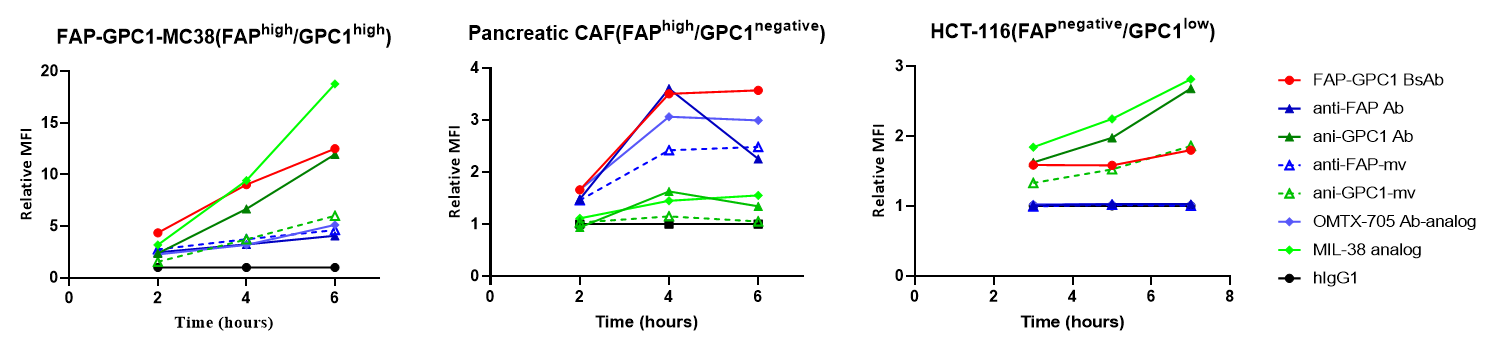 Kinetic curves showing time-dependent internalization of BCG026 FAP &times; GPC1 bispecific antibody backbone versus monovalent and bivalent parental antibody controls across stromal and tumor cell lines.