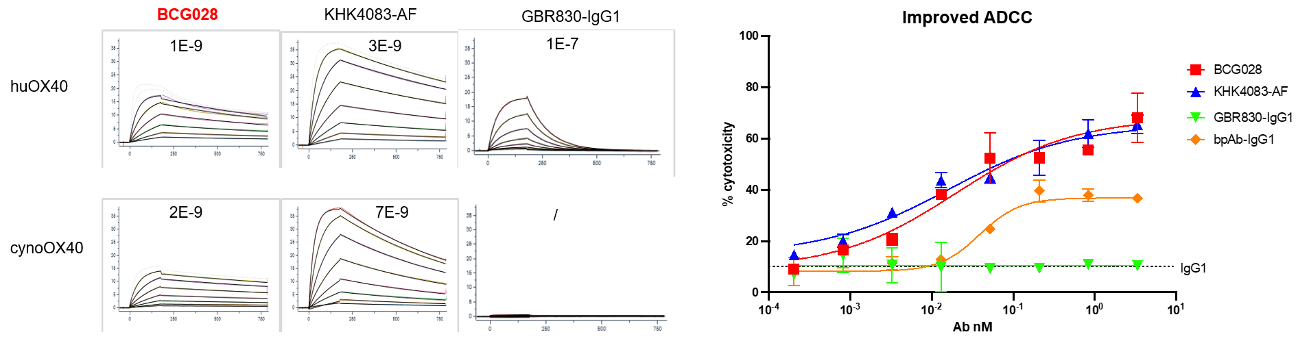 Binding affinity and ADCC curves showing comparable human and cynomolgus monkey OX40 binding and enhanced afucosylated Fc-mediated ADCC activity of BCG028 versus KHK4083-AF.