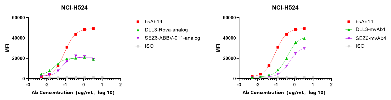Binding curves showing enhanced activity of the BCG030 DLL3 &times; SEZ6 bispecific antibody in NCI-H524 small cell lung cancer cells compared with benchmark analogs and parental monovalent antibodies.