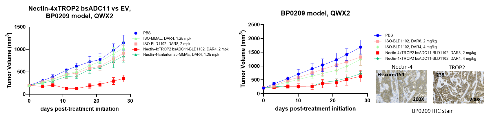 BP0209 pancreatic PDX tumor growth curves showing BCG039-BLD1102 TOP1 inhibitor bispecific ADC efficacy, enfortumab vedotin comparison, and dose-adjusted DAR4/DAR8 activity.