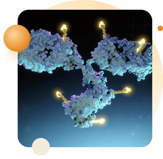 https://cdn.biocytogen.com/web/backend/upload/asset/image/BCG040/20260820224315490117.png (BCG040) banner