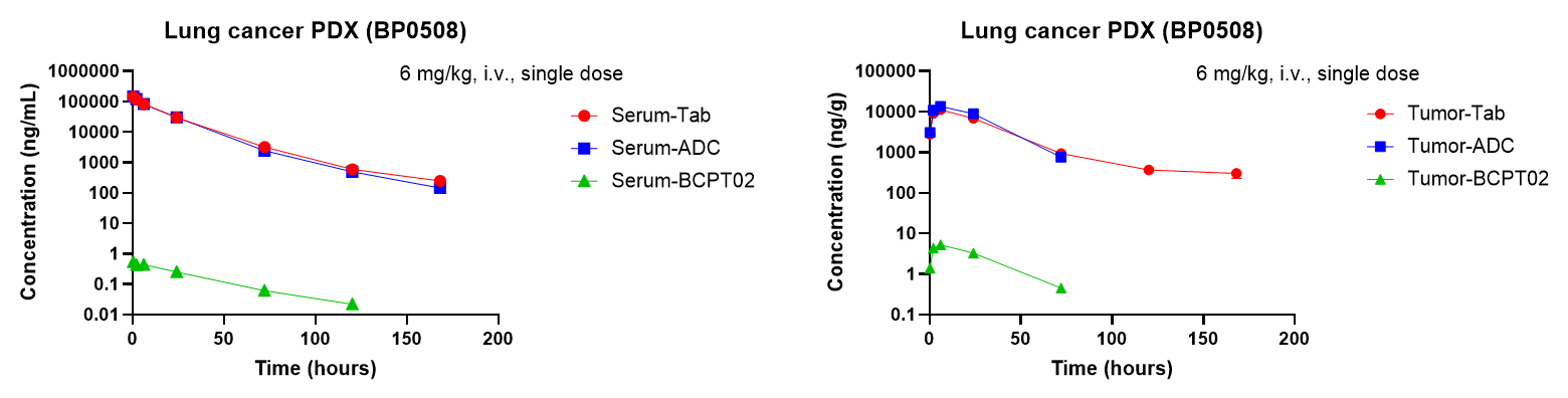 Concentration-time curves showing serum and tumor levels of total antibody, intact ADC, and released BCPT02 payload after a single 6 mg/kg intravenous dose of BCG041-BCPT02 in PDX model