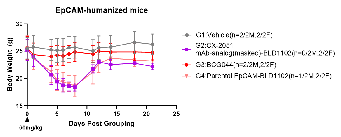 Body weight data showing improved tolerability of surrogate BCG044 in EpCAM-humanized mice compared with parental and benchmark EpCAM-BLD1102 ADCs.