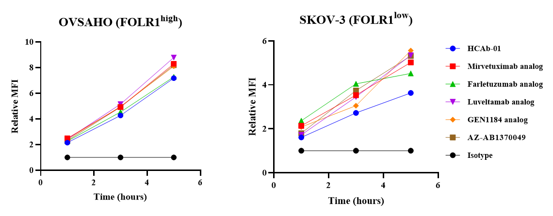 Internalization data showing efficient uptake of the BCG047 FOLR1 heavy-chain-only antibody in OVSAHO and SKOV-3 ovarian cancer cells.
