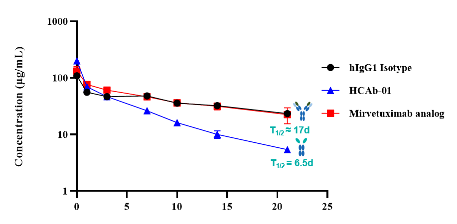 Pharmacokinetic curves showing the exposure profile of the BCG047 FOLR1 heavy-chain-only antibody backbone after a single 6 mg/kg intravenous dose in C57BL/6 mice.