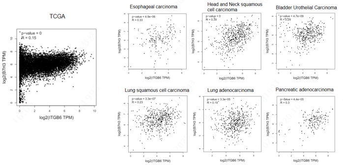 Scatter plots showing the transcriptomic co-expression of ITGB6 and B7-H3 across multiple TCGA solid tumor types.