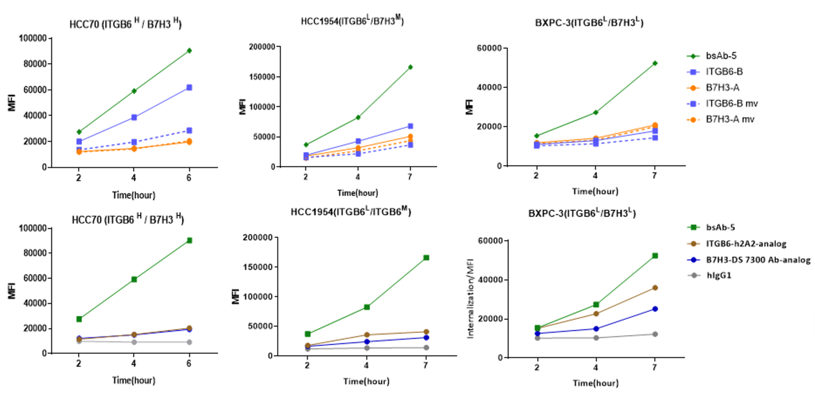 Kinetic curves displaying the time-dependent internalization of BCG048 bispecific antibody clone 5 versus single-target controls across HCC70, HCC1954, and BxPC-3 tumor cell lines.