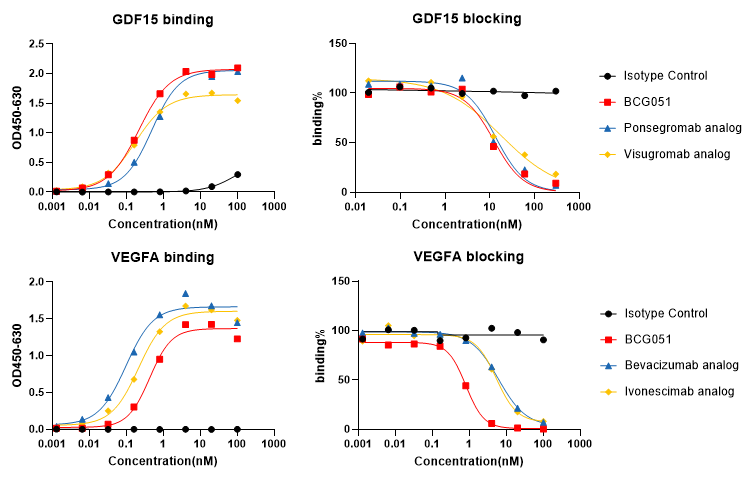 BCG051 GDF15 x VEGFA bispecific antibody binding and functional blocking curves showing dual-target engagement and functional blocking.