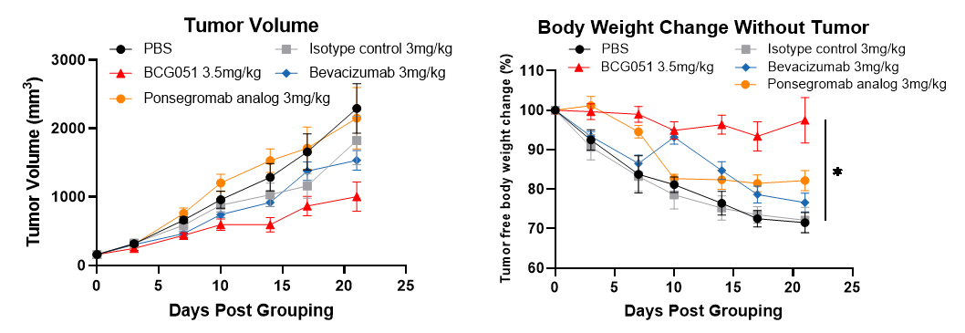 Tumor growth and body weight curves of BCG051 GDF15 x VEGFA bispecific antibody compared with bevacizumab and ponsegromab in a PDX cachexia model.