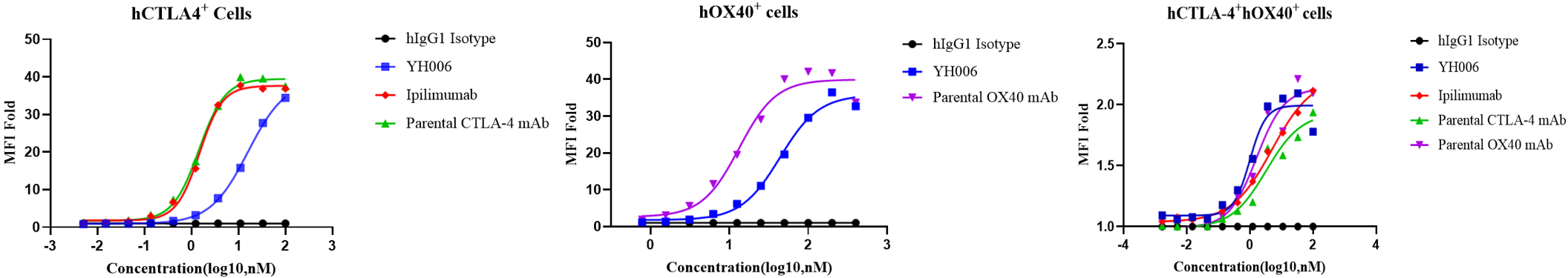Binding curve showing weak YH006 binding to CTLA-4- or OX40-single-positive cells and high-avidity binding to CTLA-4/OX40 double-positive cells.